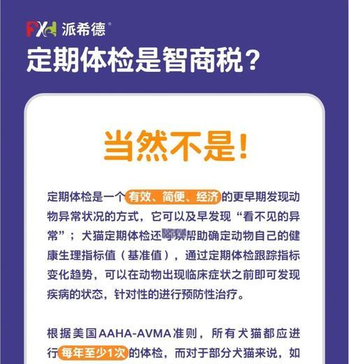 如何进行猫咪全面体检（了解猫咪体检需要多长时间）