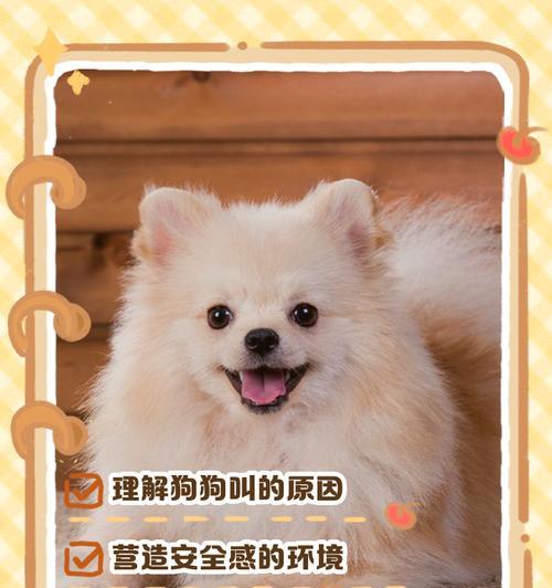 狗不停叫的原因及应对方法（宠物主人必读）