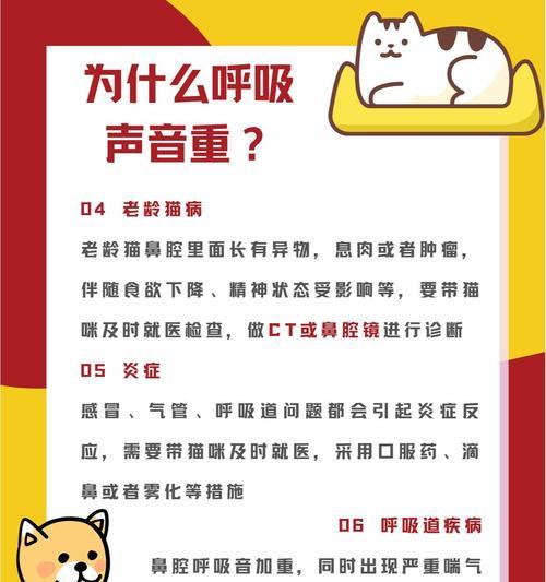 猫咪呼吸声突然重——宠物健康预警(猫咪呼吸系统疾病的预防与治疗) 猫咪呼吸声突然重——宠物健康预警(猫咪呼吸系统疾病的预防与治疗)