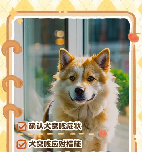狗狗不停咳嗽,如何帮助你的宠物(原因分析) 狗狗不停咳嗽,如何帮助你的宠物(原因分析)