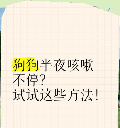 狗狗不停咳嗽，如何帮助你的宠物（原因分析）