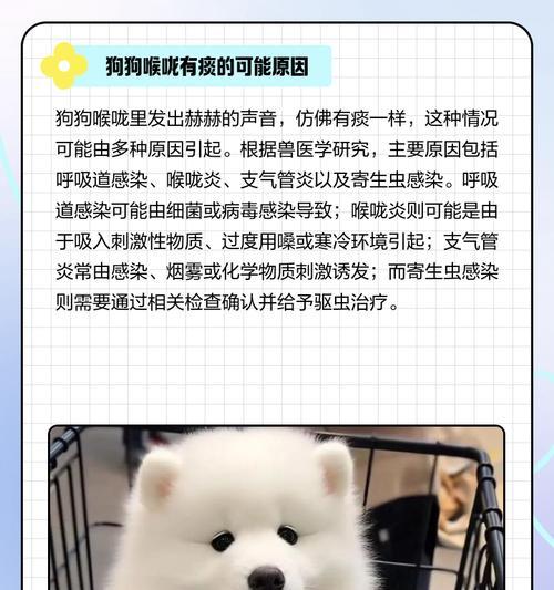 宠物狗喉咙里有痰怎么办(为您解决狗狗喉咙痰多的问题) 宠物狗喉咙里有痰怎么办(为您解决狗狗喉咙痰多的问题)