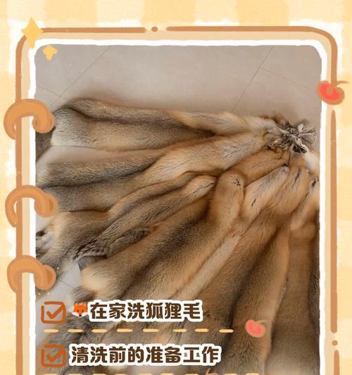 幼犬可否喂狐狸饲料? 幼犬可否喂狐狸饲料?