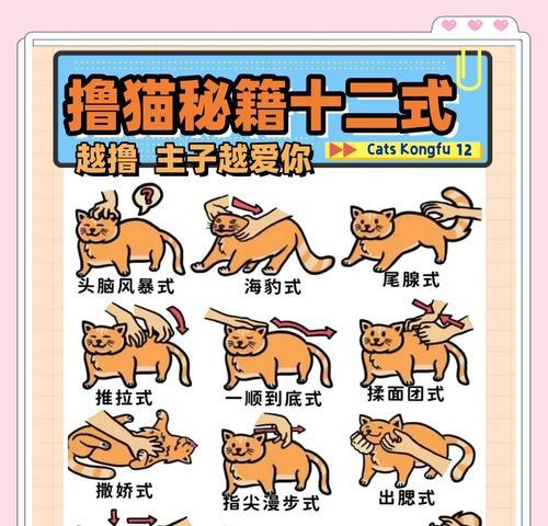 如何用棉签为猫咪清洁耳朵(给宠物爱护的正确方式) 如何用棉签为猫咪清洁耳朵(给宠物爱护的正确方式)