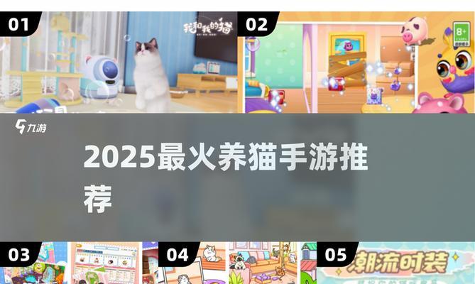 探访萌宅物语的12只猫生活(从猫的角度看宠物生活) 探访萌宅物语的12只猫生活(从猫的角度看宠物生活)