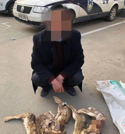 以宠物为伴,畅游丘陵打猎(探究适合丘陵地区打猎的犬种) 以宠物为伴,畅游丘陵打猎(探究适合丘陵地区打猎的犬种)