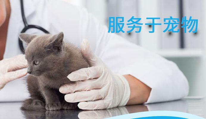 如何正确给宠物猫使用以速诺（一月小猫用量）