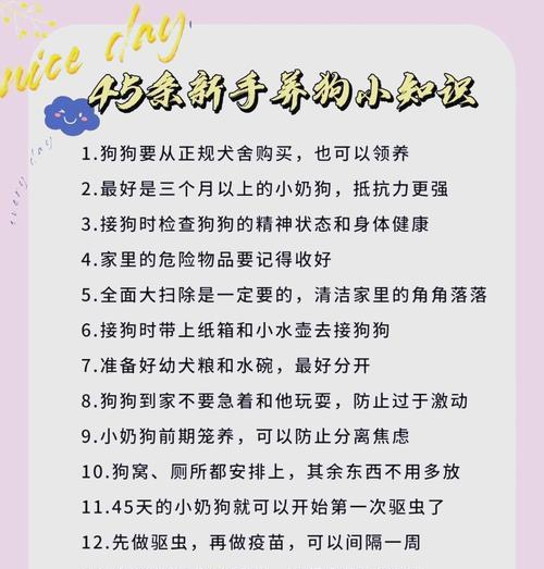 小狗饲养手册——让你的宠物健康成长（以宠物为主）