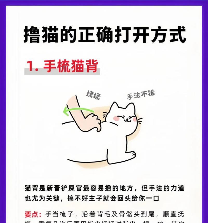 如何让宠物猫咪不恐惧主人(15个小技巧告诉你如何与猫咪建立亲密关系) 如何让宠物猫咪不恐惧主人(15个小技巧告诉你如何与猫咪建立亲密关系)