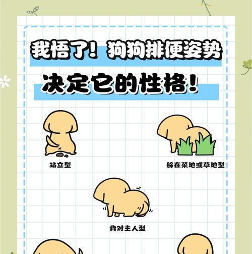 小狗不便便多久正常（了解宠物健康）