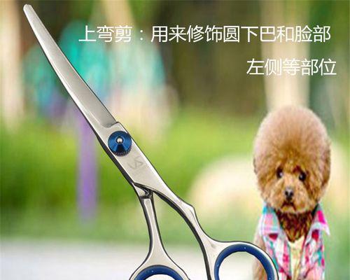 如何为宠物狗剪毛（掌握正确的剪刀选择和使用技巧）