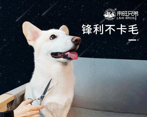 如何为宠物狗剪毛（掌握正确的剪刀选择和使用技巧）