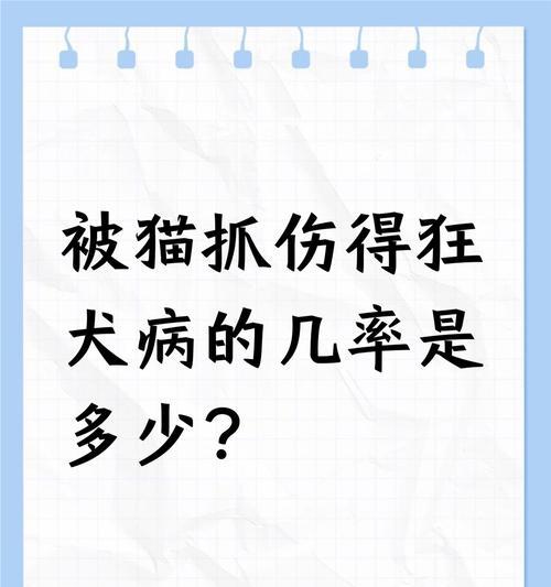 小猫不打育苗小猫不打疫苗的后果（宠物猫未接种疫苗和育苗会面临的健康风险）