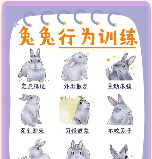 如何训练小狗抓捕兔子（宠物狗的狩猎本能如何激发）
