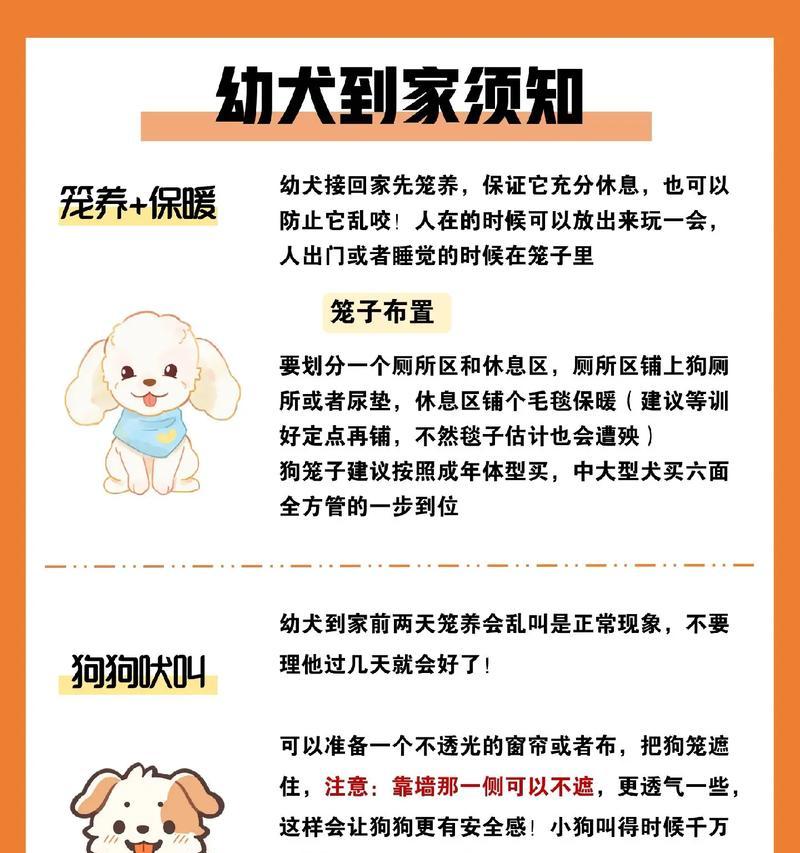 如何有效地训练宠物狗(注意事项和技巧) 如何有效地训练宠物狗(注意事项和技巧)