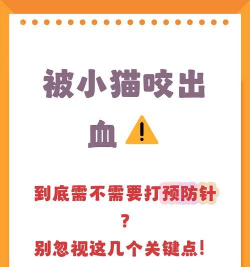 小猫咬出血该怎么办(关爱宠物) 小猫咬出血该怎么办(关爱宠物)