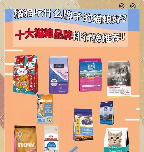 宠物猫的夏季饮食指南，让你的猫咪健康又美味（宠物猫的夏季饮食指南）