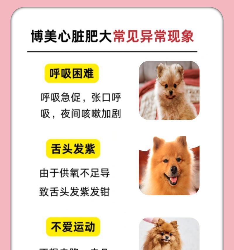 如何让宠物狗停止打喷嚏（缓解狗狗喷嚏的方法及注意事项）