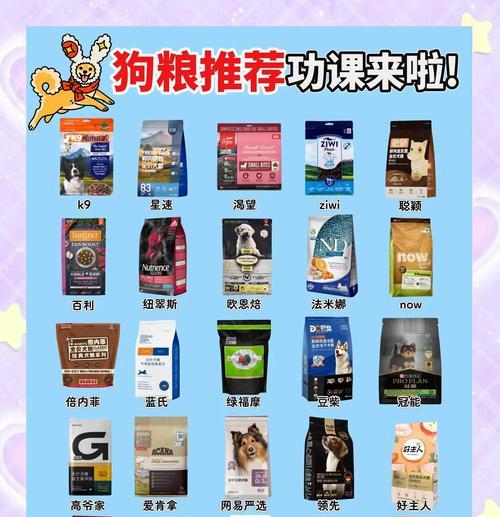 深入了解狗粮成分表（宠物健康的关键）