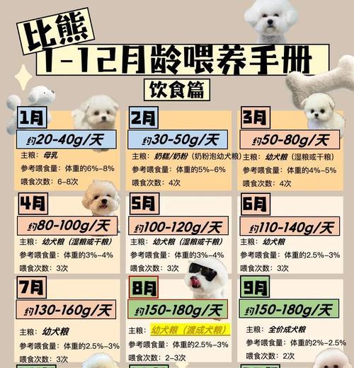 如何科学喂养孕期狗狗（狗狗怀孕期间需注意哪些喂养细节）