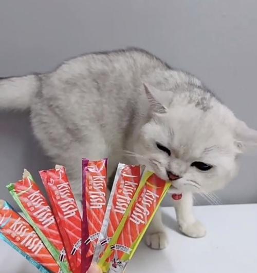 探讨猫咪对红肉的渴望（为什么猫咪总是想吃红肉）