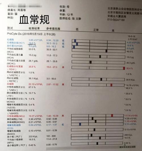 以狗狗血象检测BAND,了解宠物健康的重要性(从狗狗血象检测BAND说起) 以狗狗血象检测BAND,了解宠物健康的重要性(从狗狗血象检测BAND说起)
