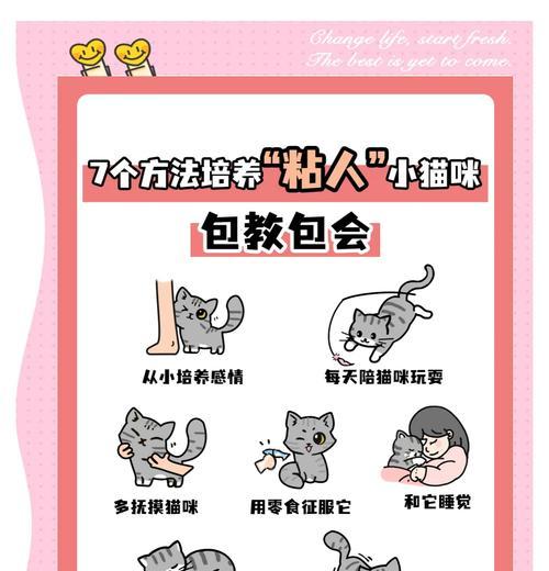 小猫训练技巧(如何驯服小猫成为好宠物) 小猫训练技巧(如何驯服小猫成为好宠物)