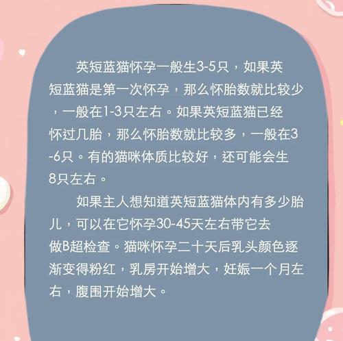 猫咪怀孕多久才能生夏天的小猫（夏季宠物繁殖必须注意的事项）