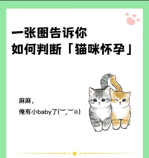 猫咪怀孕多久才能生夏天的小猫(夏季宠物繁殖必须注意的事项) 猫咪怀孕多久才能生夏天的小猫(夏季宠物繁殖必须注意的事项)