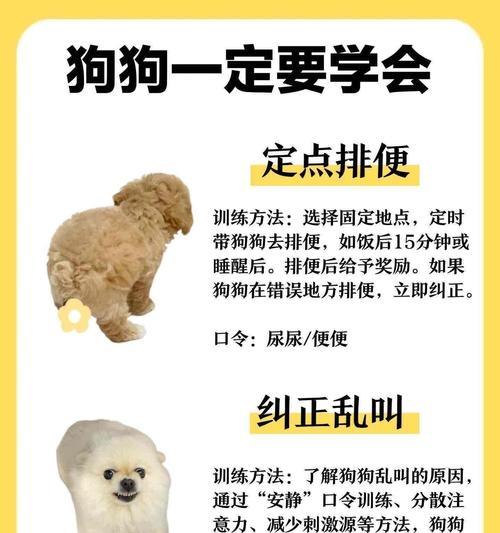 如何确定金毛犬的最佳配种时间（繁殖达人教你如何科学繁殖宠物金毛犬）