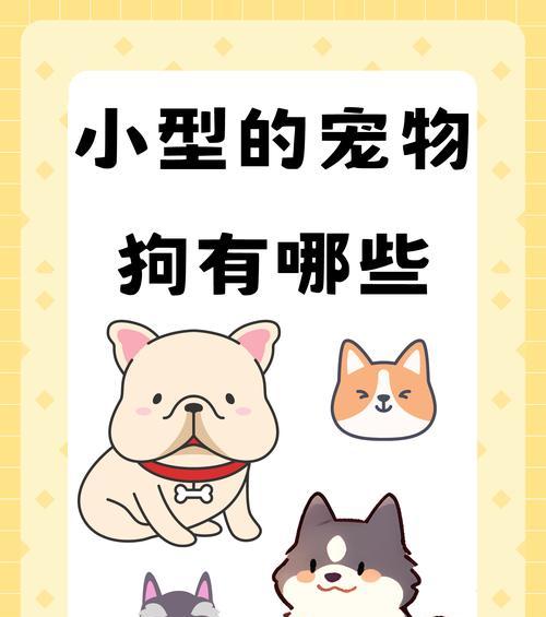 可爱的狗狗品种大（探索最适合家庭饲养的可爱狗狗品种）