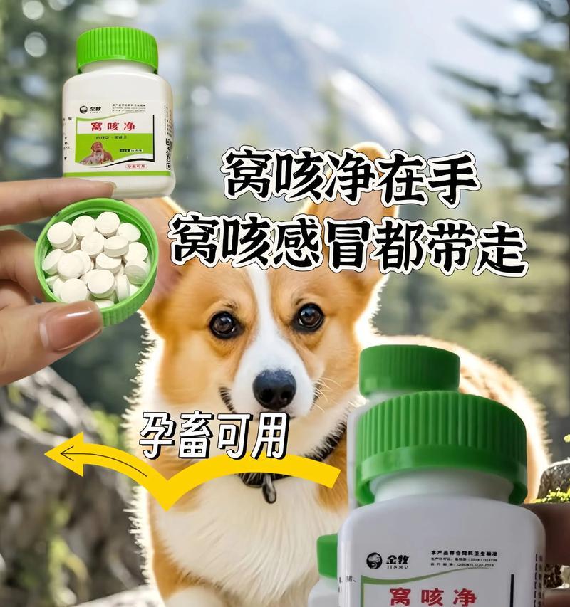 小狗咳嗽有多厉害（了解小狗咳嗽的症状和治疗方法）