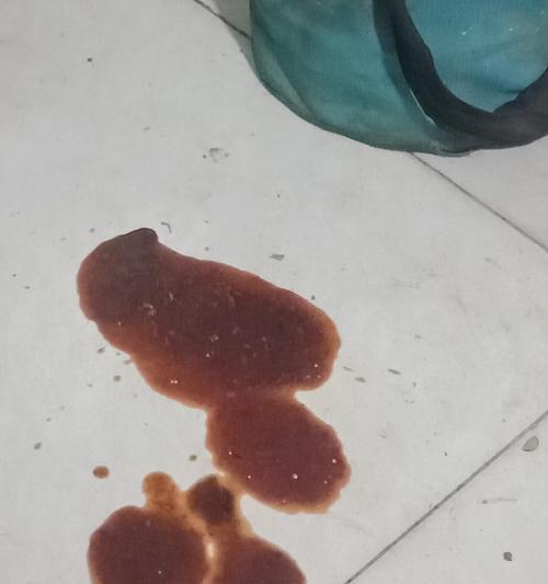 狗狗拉稀怎么办（宠物主人必知的拉稀常识）