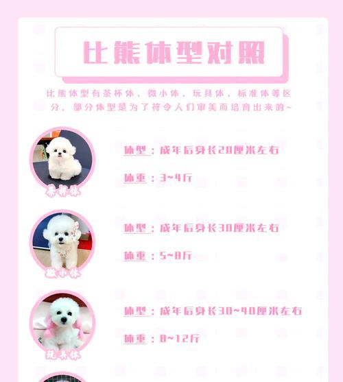 比熊狗狗该在何时驱虫（以宠物为主）