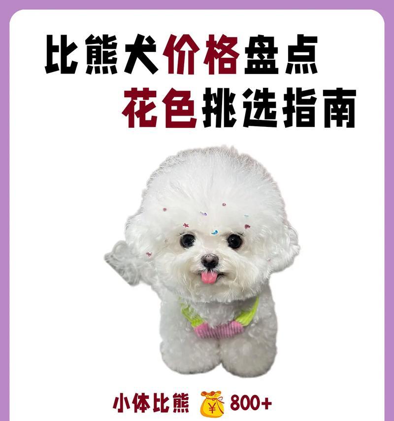 比熊狗狗该在何时驱虫(以宠物为主) 比熊狗狗该在何时驱虫(以宠物为主)