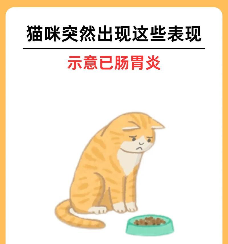 如何帮助宠物猫咪解决消化问题(宠物猫咪不消化) 如何帮助宠物猫咪解决消化问题(宠物猫咪不消化)