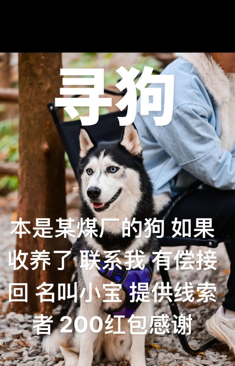 小狗到家几天会叫（探究小狗到家后几天开始叫的原因）