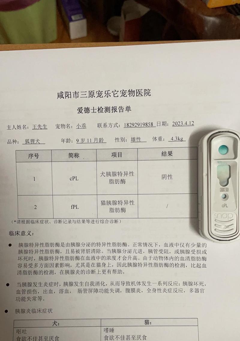 老年犬体检项目详解（保护宠物健康）
