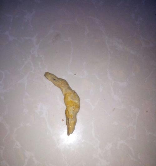 小狗大便有虫,宠物的健康需要关注(了解狗的寄生虫病) 小狗大便有虫,宠物的健康需要关注(了解狗的寄生虫病)