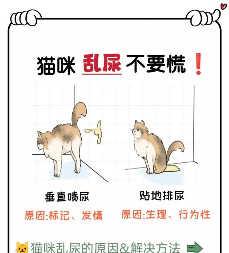 如何解决宠物猫经常尿床的问题（探究猫咪尿床的原因与解决方法）
