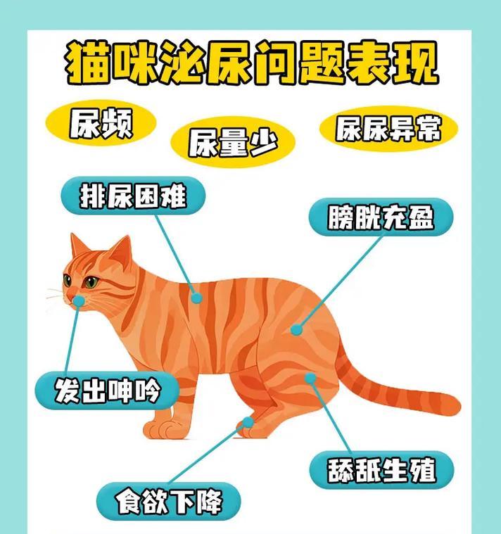 如何解决宠物猫经常尿床的问题(探究猫咪尿床的原因与解决方法) 如何解决宠物猫经常尿床的问题(探究猫咪尿床的原因与解决方法)