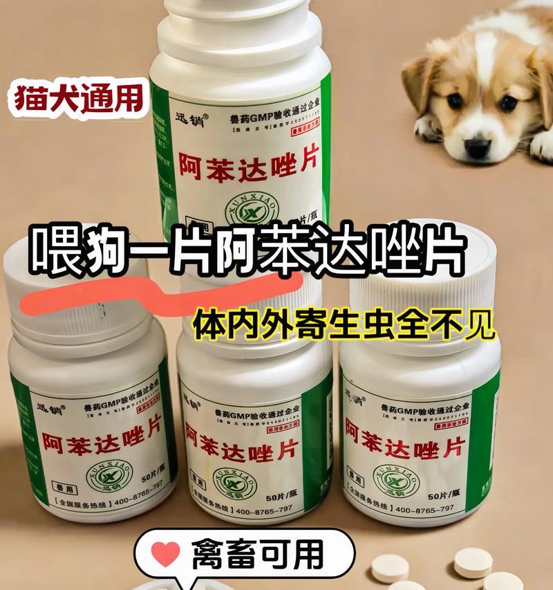 如何治疗狗狗身上的螨虫（选择正确的药物对症治疗）