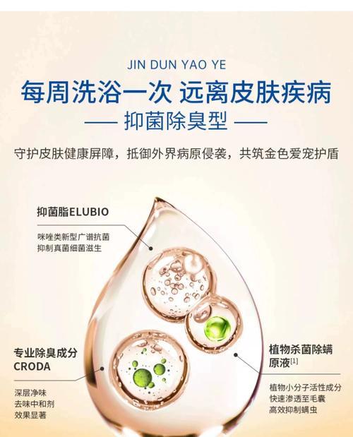 如何治疗狗狗身上的螨虫(选择正确的药物对症治疗) 如何治疗狗狗身上的螨虫(选择正确的药物对症治疗)