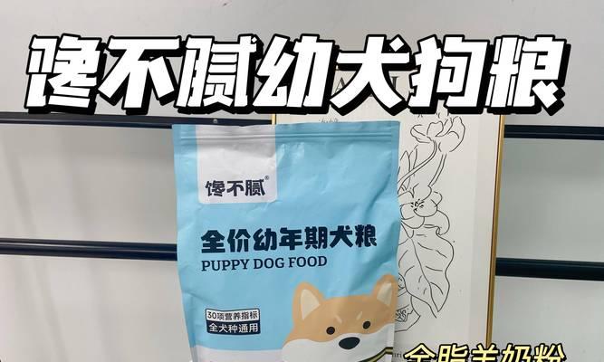 友犬的狗粮摄入量掌握(合理控制狗粮) 友犬的狗粮摄入量掌握(合理控制狗粮)