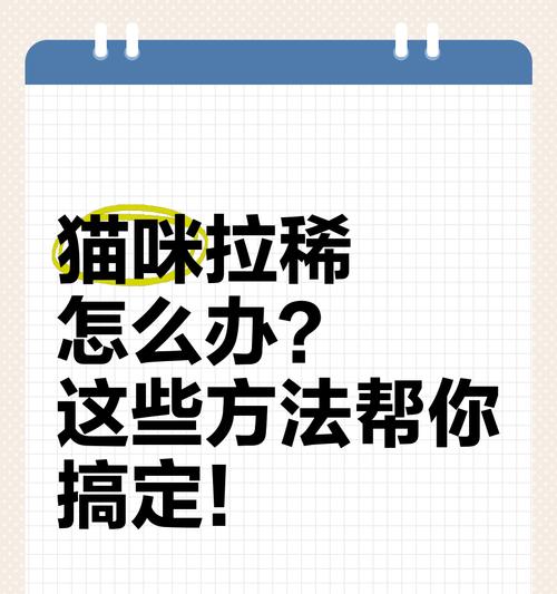 宠物幼猫突然拉稀应急指南（保护您的宠物幼猫）