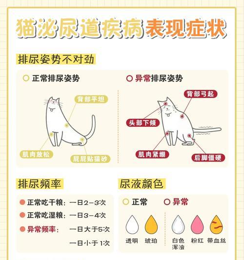 宠物幼猫突然拉稀应急指南(保护您的宠物幼猫) 宠物幼猫突然拉稀应急指南(保护您的宠物幼猫)