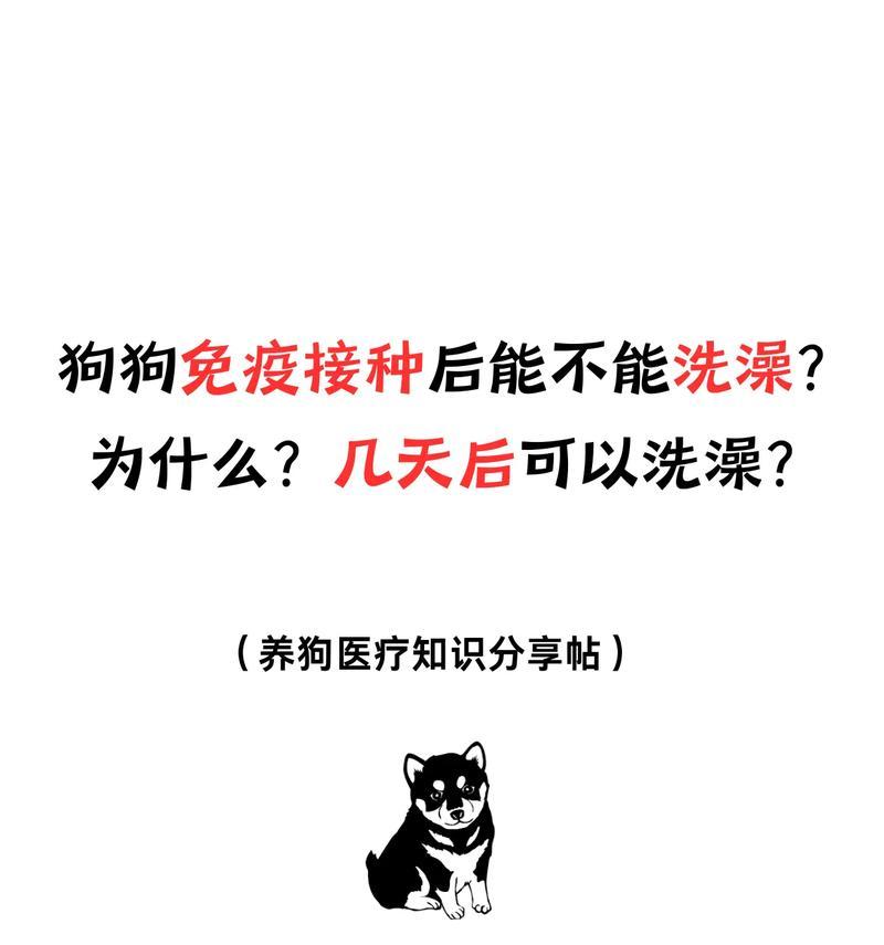 狗狗打疫苗的时间表(从宝宝到成年犬) 狗狗打疫苗的时间表(从宝宝到成年犬)