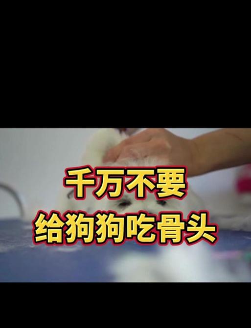 小狗整吃骨头不拉了（宠物养护中的重要问题）