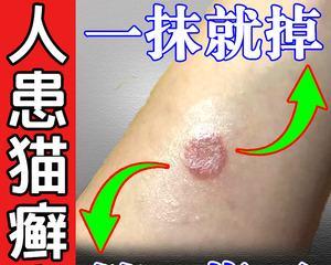 猫用麻辣洗副作用大揭秘（宠物主人必看）