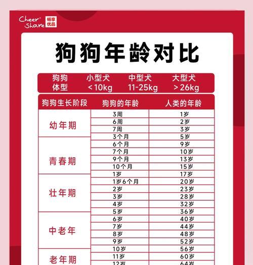 如何判断比特犬的年龄(从宠物的行为和身体特征来看) 如何判断比特犬的年龄(从宠物的行为和身体特征来看)